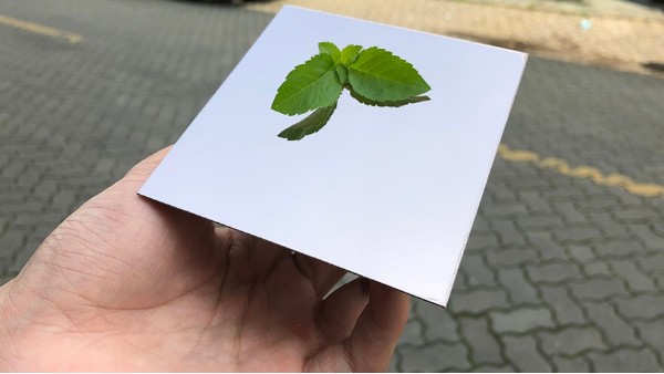 不銹鋼鏡面如有劃痕怎么處理？